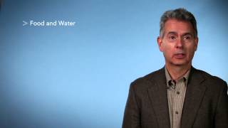 Old Testament Today - Andrew Hill - Chapter 2, Video 1 - Numbers - Textbook Plus