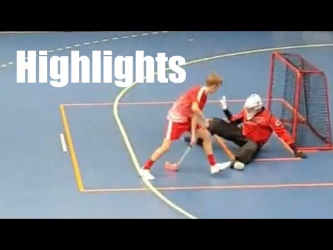 Highlights Småland - Östergötland (Innebandy/Floorball)