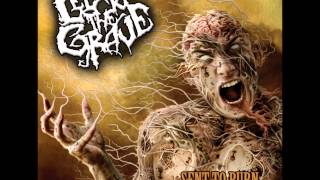 Led To The Grave - Amerian Marquis De Sade