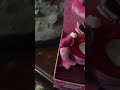 Gemmy Jump Around Frogz RARE