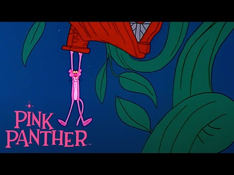 Pink Panther and the Giant Beanstalk! | 35 Minute Compilation | Pink Panther Show