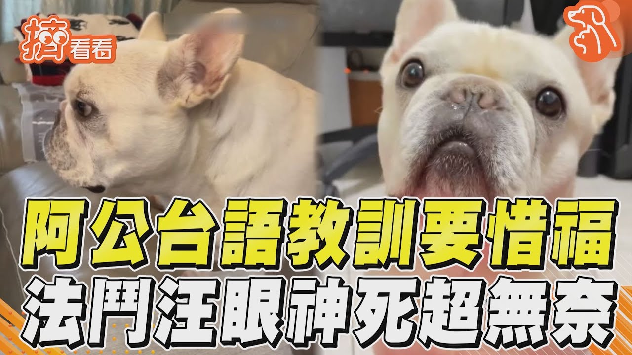 影音/阿公全程台語訓話「教惜福」 法鬥孫聽嘸眼神死:還不是吃穿要靠他