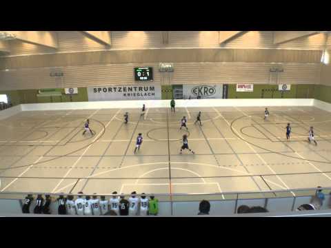 MTK-MFS 2004 - Austria Wien   2015.03.01. Krieglach