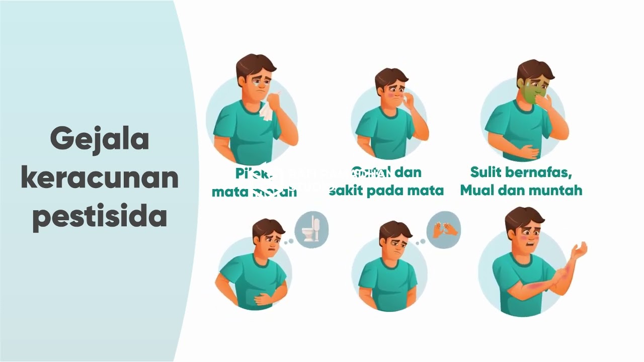 Motion Graphics - Video Animasi Motion Graphic untuk Edukasi - 2