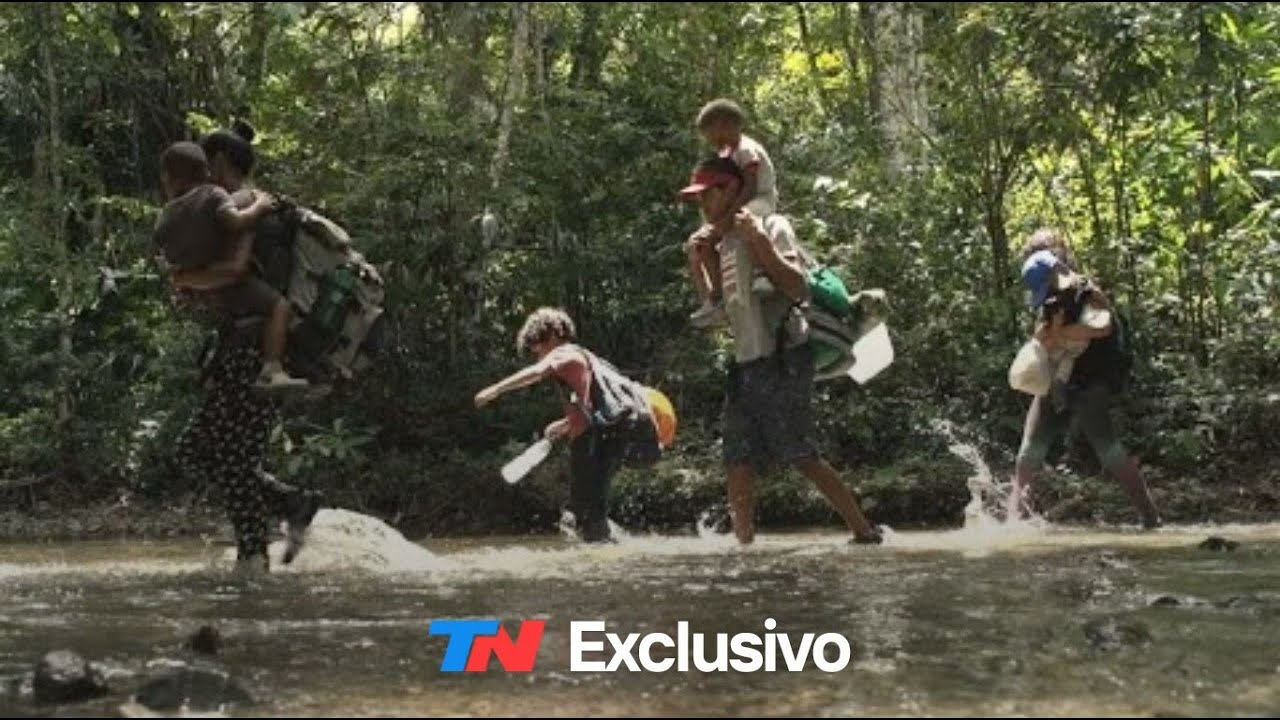 TN en el infierno de la Selva de Darién: la odisea de los que escapan en busca de un futuro mejor