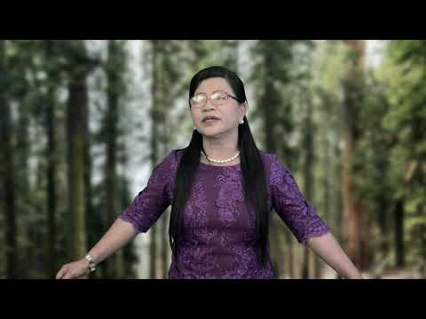 KC Runremsangi - A rei lo em (Official MV)