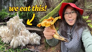 Hunt & Cook: Foraging Wild Mushrooms We Find Bear's Head & Chanterelles!