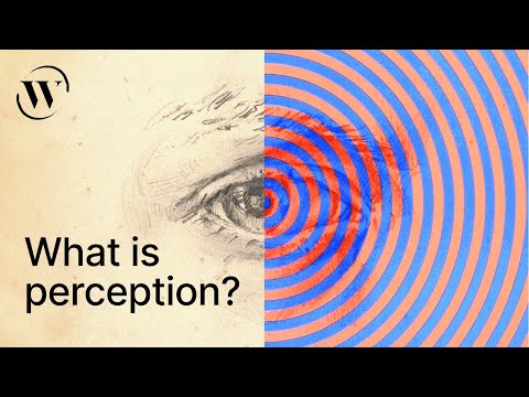 Perception, explained in 3 minutes  | Alva Noë