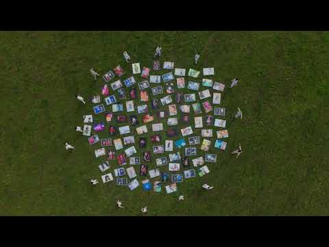 D Team and Flying Vibot