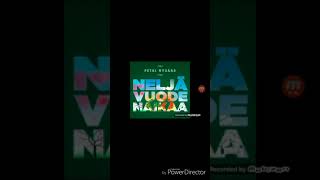 Petri nygård neljä vuoden aikaa (officical music)