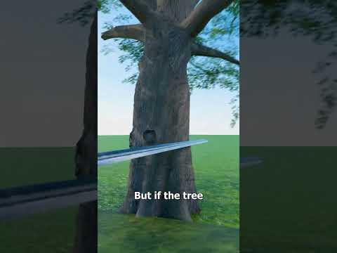 The Indestructible Sword Paradox 🤯