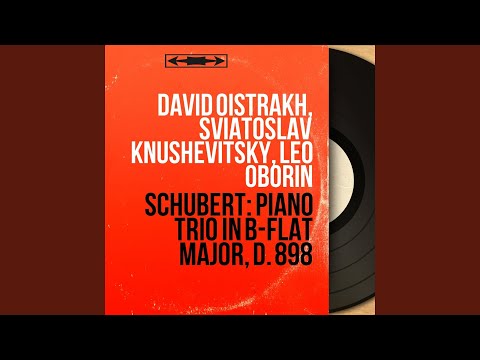 Piano Trio in B-Flat Major, Op. 99, D. 898: I. Allegro moderato