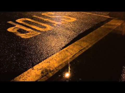 ZETA Aka Némesis - Grey