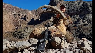 Bezoar Ibex Hunting Attila &amp; Turkish Frontier Outdoor Adventure Co.