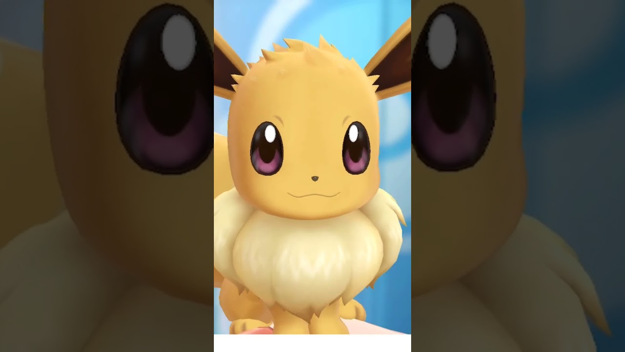 Eevee - Loving Hugs & Attention ❤️