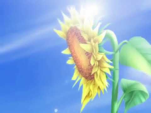 水夏 〜SUIKA〜