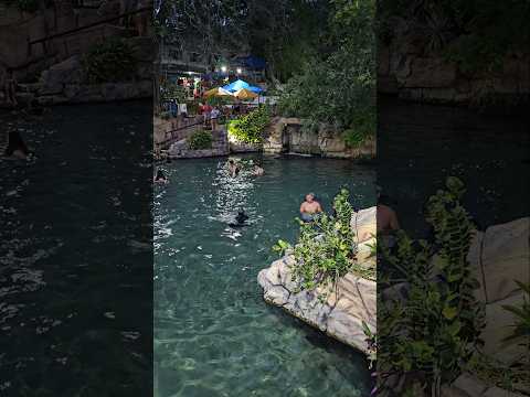 Olheiro de pureza RN #pureza #shorts