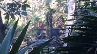 Mayan Drums! Xcaret Mexico