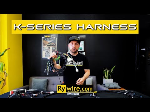 Rywire K Series Wiring Explained. Wire any K Engine in any car.