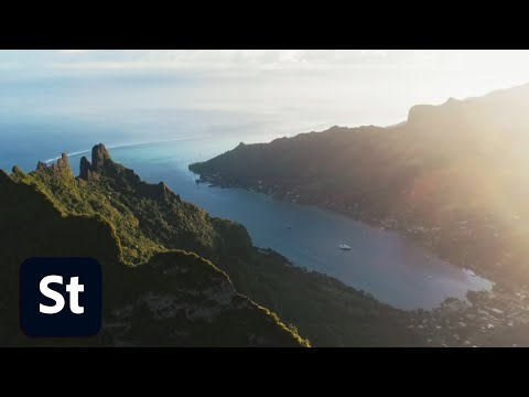 Adobe Stock Contributor Spotlight: Tasha Van Zandt | Adobe Creative Cloud