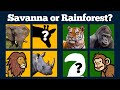 Where Do You Live Safari Or Rainforest Learn Animal Names And Habitats With Animal Videos
