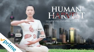 Human Harvest - Trailer