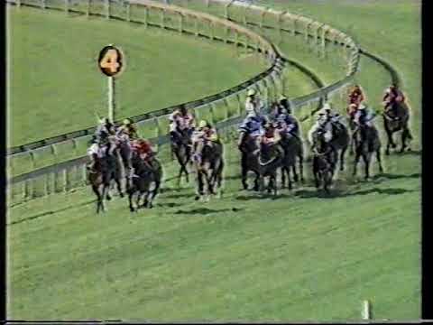 1991 Castlemaine Stakes