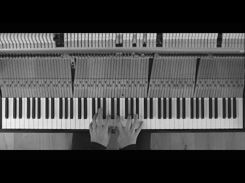 Josh Cohen – June 14 (Livestreams from Clifton Hill)