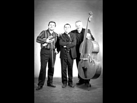 Mocirita cu trifoi - PaCoRa Trio