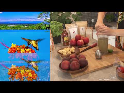 Tvoříme most mezi Amazonií a Českem