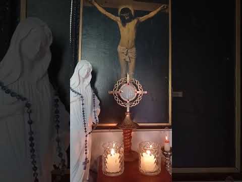 Adoracion Al Santisimo Sagramento del Altar con el Padre Fabian Esteban Oliva. 08/08/26