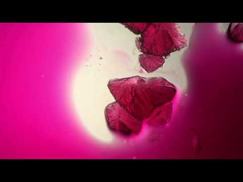 Greenbeam & Leon - Phiasco [2529 Km DGTL VA003]