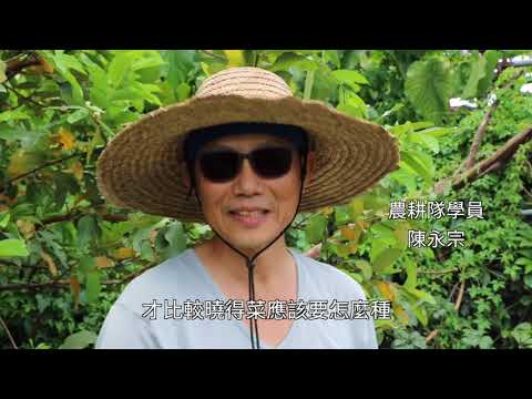 耕耘十四年 新莊社大農園為生態教育以身作則