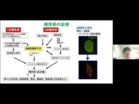 【山口大学OC2025／医学部／医学科】病態制御内科学講座紹介