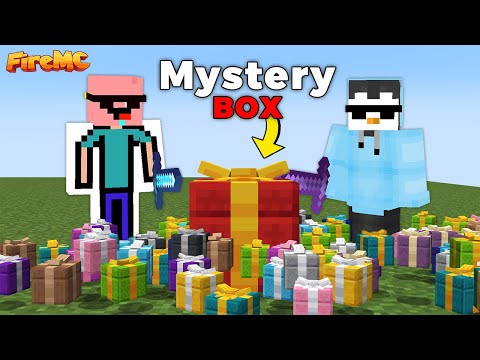 100 Mystery Box Vs Public LifeSteal SMP