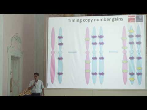 David Wedge - Cancer evolution: Copy number and metastatis (ITN-CONTRA)
