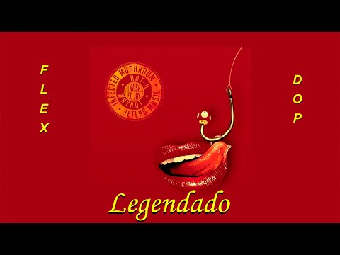 I Wish - Infected Mushroom, Jay, Jetlag Music, Hot-Q, WhyNot Music (LEGENDADO/TRADUÇÃO)