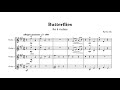 Butterflies For 4 Violins 2023