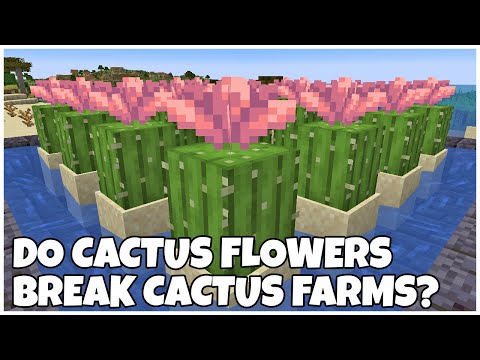 Do CACTUS FLOWERS Break CACTUS FARMS In MINECRAFT 1.21.5?