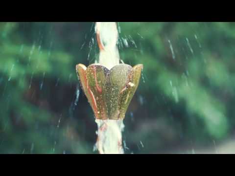 Copper Tulip Rain Chain By Good Directions Video