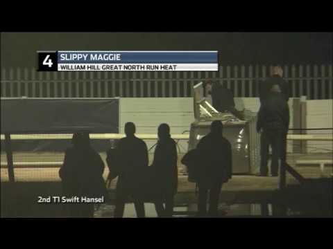 2018 WILLIAM HILL GREAT NORTH RUN - HEAT 3 - T4 SLIPPY MAGGIE