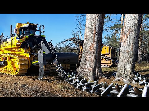 Karczowanie lasów z pomocą ciężkiego łańcucha i specjalistycznego sprzętu
