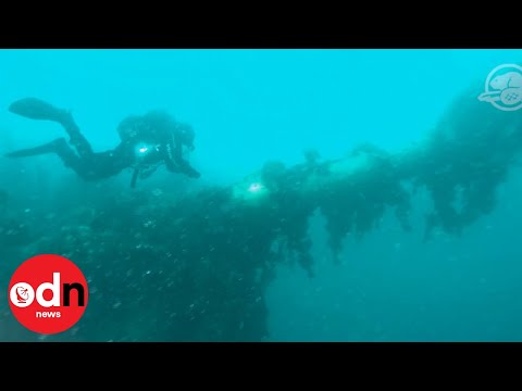 HMS Terror: Ghostly shipwreck from 1845 gives clues to ill-fated expedition