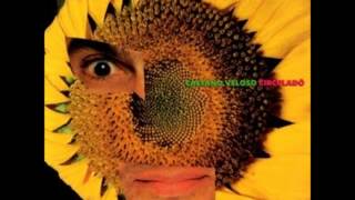 Caetano Veloso - Terceira Margem do Rio