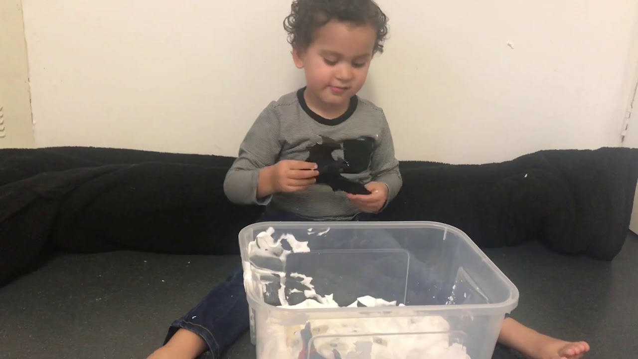 Little Learners Education Halloween Themed Activities Cobwebs & Spiders! Phonics, Spelling Activity!