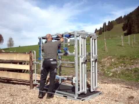 Vorbereiten von Klauenstand mit Horntüre