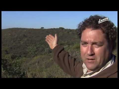 download lagu mp3 mp4 Coto Privado De Caza, download lagu Coto Privado De Caza gratis, unduh video klip Coto Privado De Caza