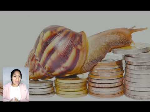 Nuevo retiro de AFP afectará obtención de financiamiento a través del mercado de capitales - PERÚ