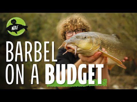 Barbel on a Budget! Fishing the River Severn Without Breaking the Bank 🎣