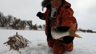 Ссылка